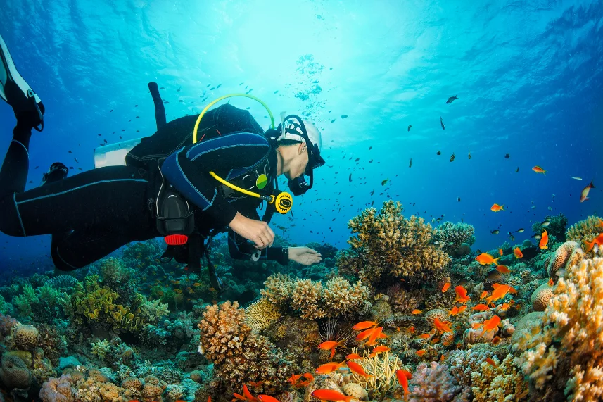 scuba diving in colva-Goa