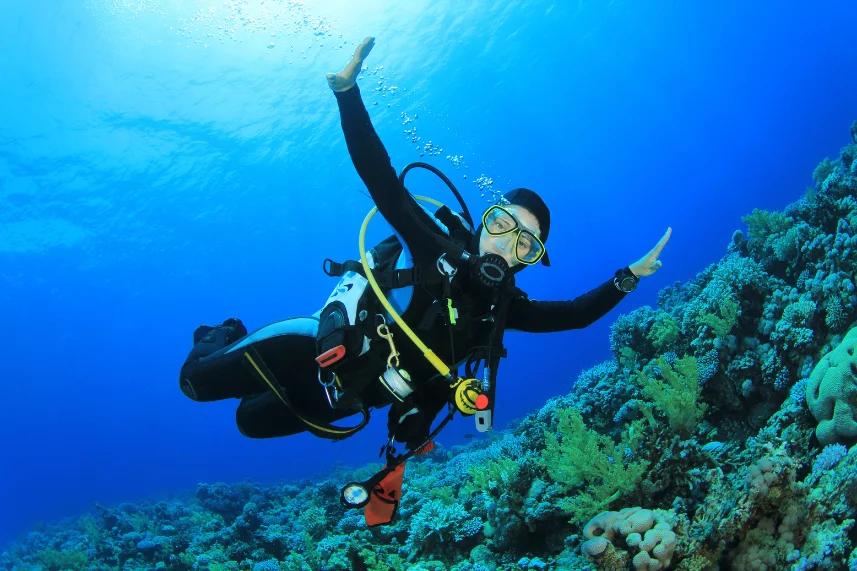 scuba diving in colva-Goa