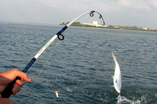 Water sports in Colva-Goa